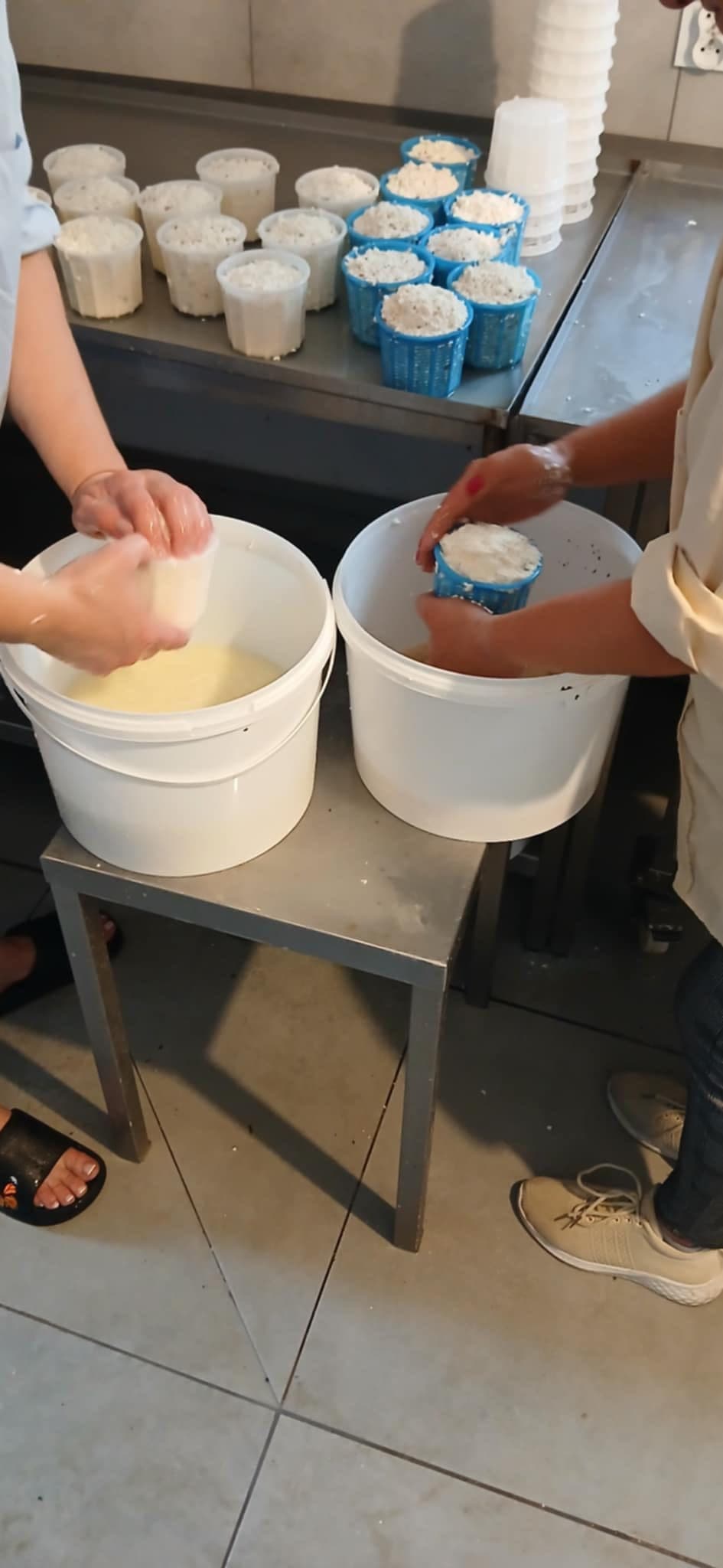 Rozpoczęcie produkcji serów
